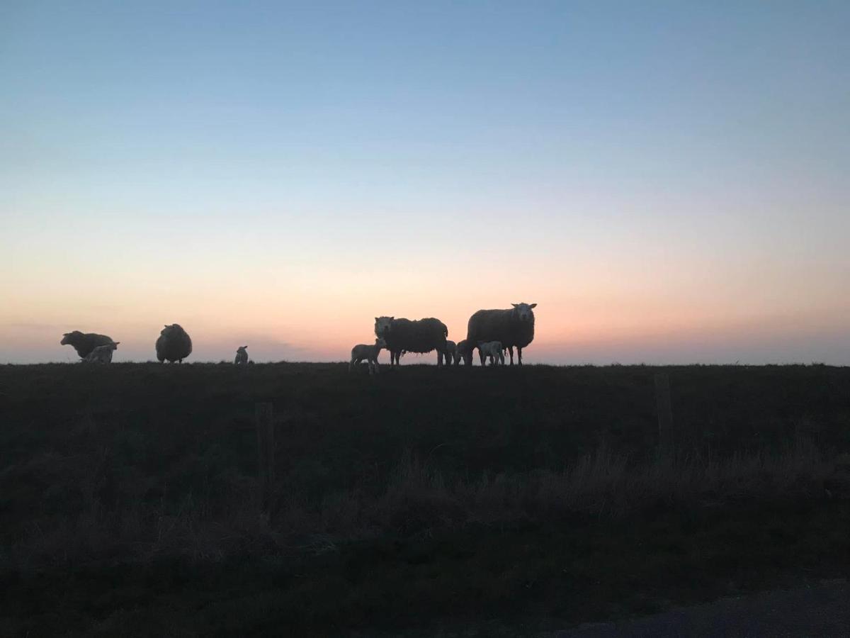 B&B De Oude Skuur Texel Oosterend  Esterno foto